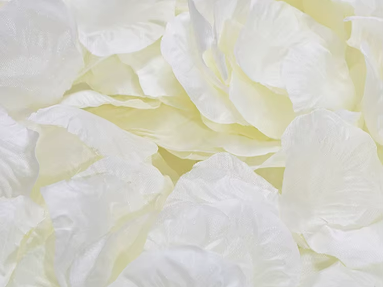 Rosenblätterimitat - Shiny