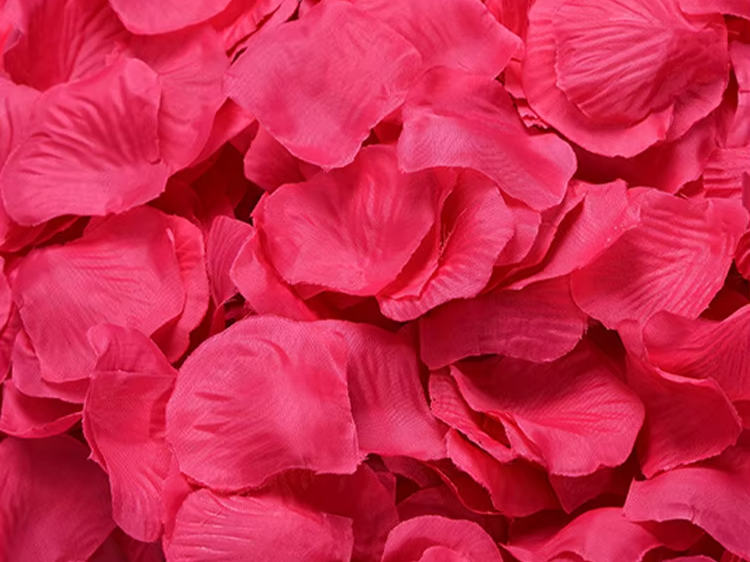 Rosenblätterimitat - Shiny